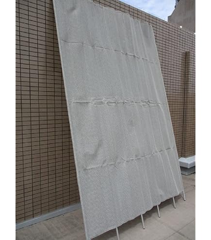 Amazon.co.jp: 洋風たてす約W200×H270cm Eベージュ色